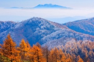 猪臥山②